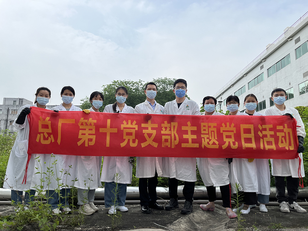 抵御風(fēng)雨的青年力量——第十黨支部開(kāi)展主題黨日活動(dòng)